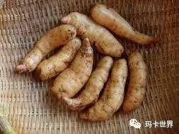 你知道嗎 天麻 三七,治療頭痛有奇效