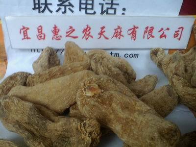 惠之農 野生天麻精品包裝_天麻種子_天麻種植_宜昌惠之農天麻 - 商國互聯網