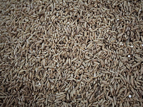 金寨天麻專賣(mài)店 金寨天麻價(jià)格 金寨天麻哪里買(mǎi) 途牛移動(dòng)站