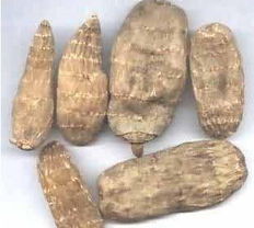 漢中市地方特產(chǎn) 佛坪天麻