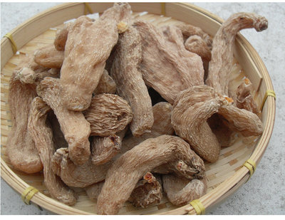 天麻燉乳鴿作用深山*正宗天麻