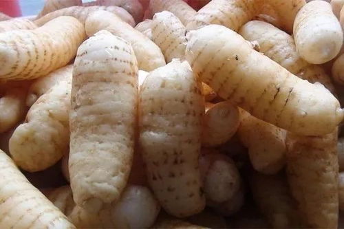 貴州德江向全世界發出邀請