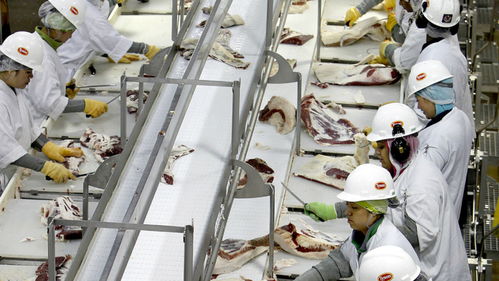 美國肉類工廠疫情危機 570人集體感染新冠，疫情期間被迫開工的背后